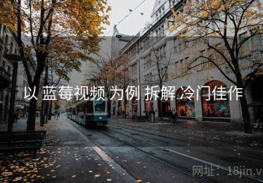 以 蓝莓视频 为例 拆解 冷门佳作