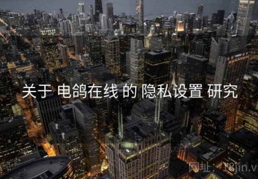 关于 电鸽在线 的 隐私设置 研究