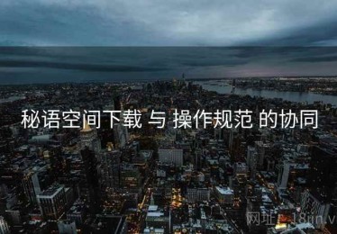 秘语空间下载 与 操作规范 的协同