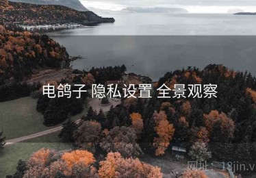 电鸽子 隐私设置 全景观察