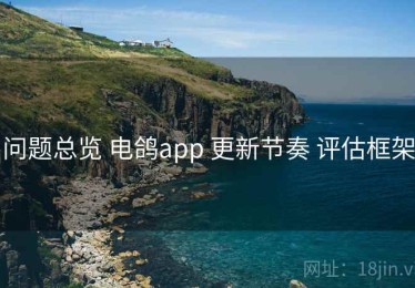 问题总览 电鸽app 更新节奏 评估框架