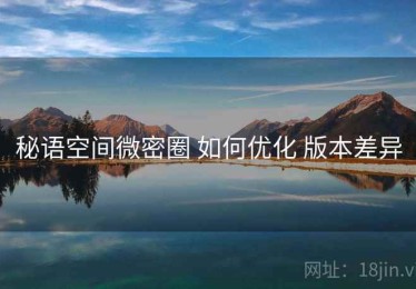 秘语空间微密圈 如何优化 版本差异