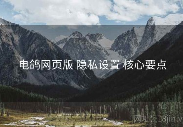 电鸽网页版 隐私设置 核心要点