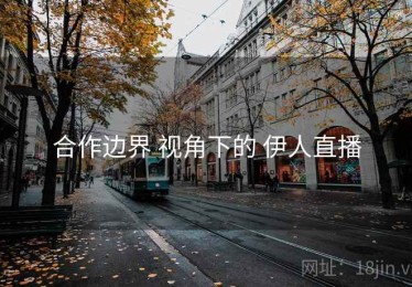 合作边界 视角下的 伊人直播