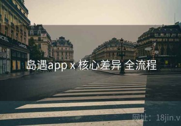 岛遇app x 核心差异 全流程