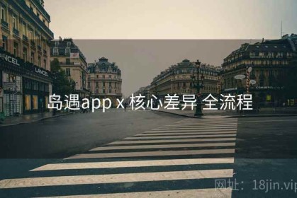 岛遇app x 核心差异 全流程