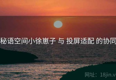 秘语空间小徐崽子 与 投屏适配 的协同