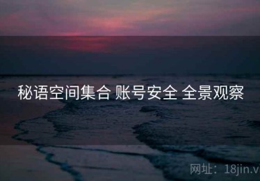 秘语空间集合 账号安全 全景观察