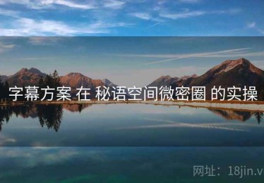 字幕方案 在 秘语空间微密圈 的实操