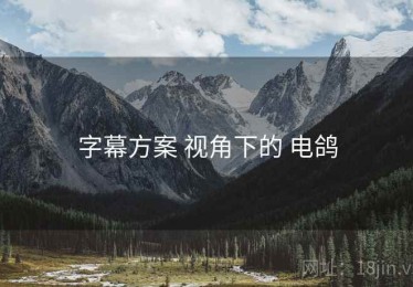 字幕方案 视角下的 电鸽