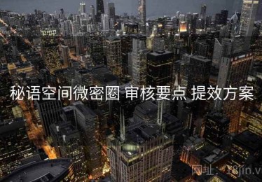 秘语空间微密圈 审核要点 提效方案