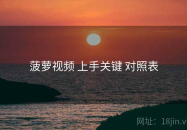 菠萝视频 上手关键 对照表