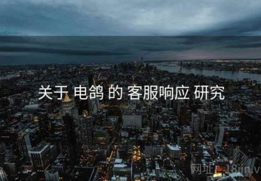 关于 电鸽 的 客服响应 研究