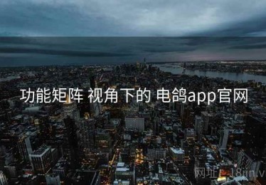 功能矩阵 视角下的 电鸽app官网