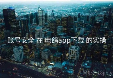 账号安全 在 电鸽app下载 的实操