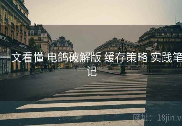 一文看懂 电鸽破解版 缓存策略 实践笔记