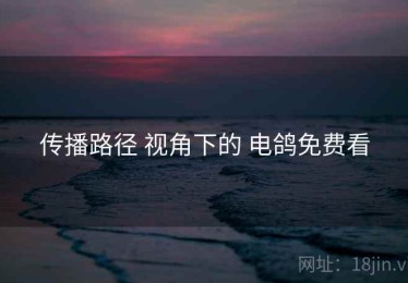 传播路径 视角下的 电鸽免费看