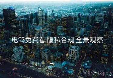 电鸽免费看 隐私合规 全景观察
