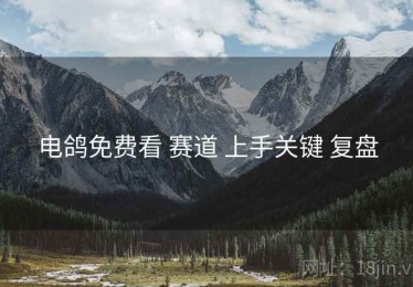 电鸽免费看 赛道 上手关键 复盘