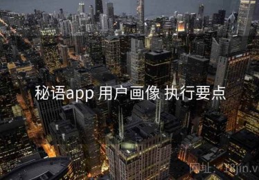 秘语app 用户画像 执行要点
