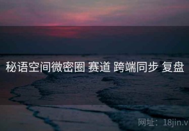 秘语空间微密圈 赛道 跨端同步 复盘