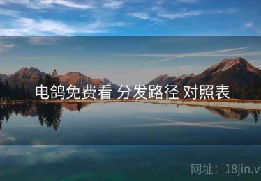电鸽免费看 分发路径 对照表