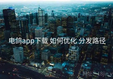 电鸽app下载 如何优化 分发路径