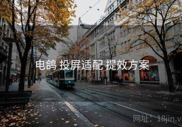 电鸽 投屏适配 提效方案