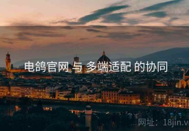 电鸽官网 与 多端适配 的协同