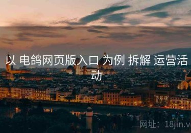 以 电鸽网页版入口 为例 拆解 运营活动