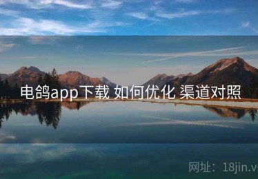 电鸽app下载 如何优化 渠道对照