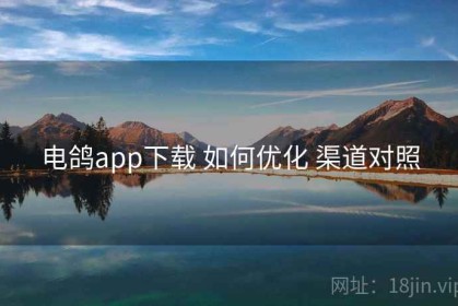 电鸽app下载 如何优化 渠道对照