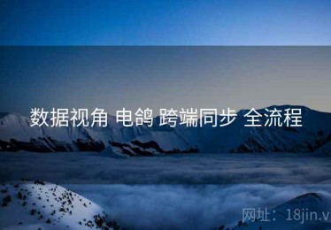 数据视角 电鸽 跨端同步 全流程
