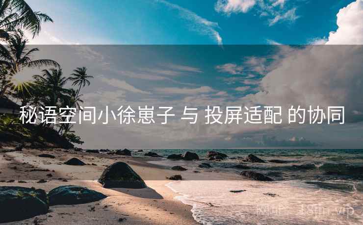 秘语空间小徐崽子 与 投屏适配 的协同