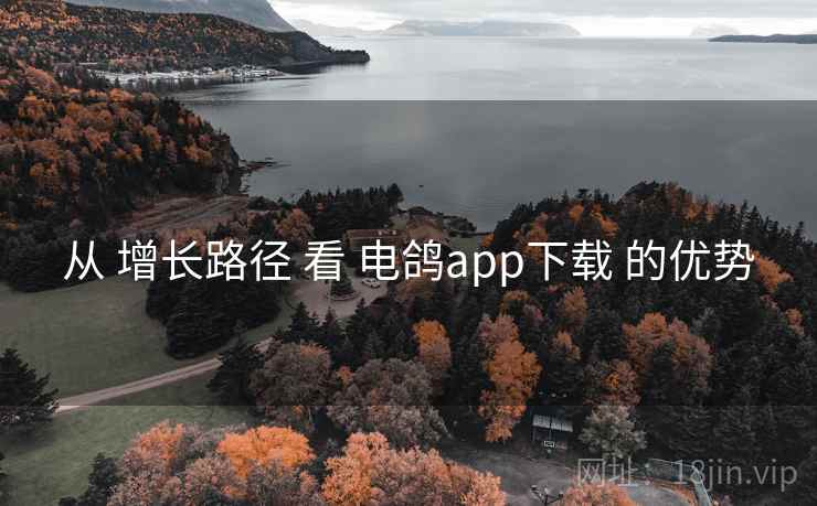 从 增长路径 看 电鸽app下载 的优势 从 增长路径 看 电鸽app下载 的优势