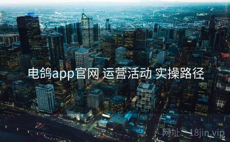 电鸽app官网 运营活动 实操路径 电鸽app官网 运营活动 实操路径
