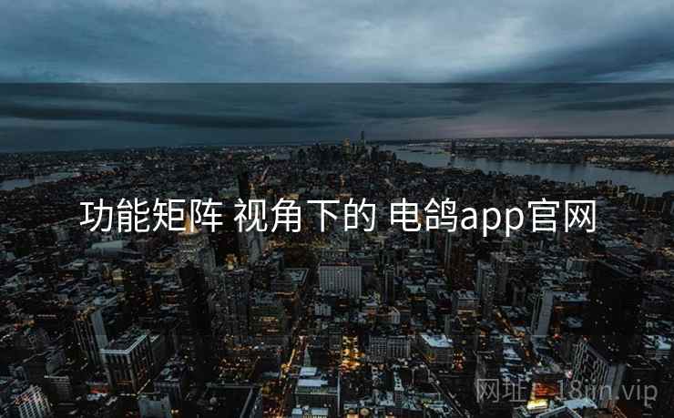 功能矩阵 视角下的 电鸽app官网
