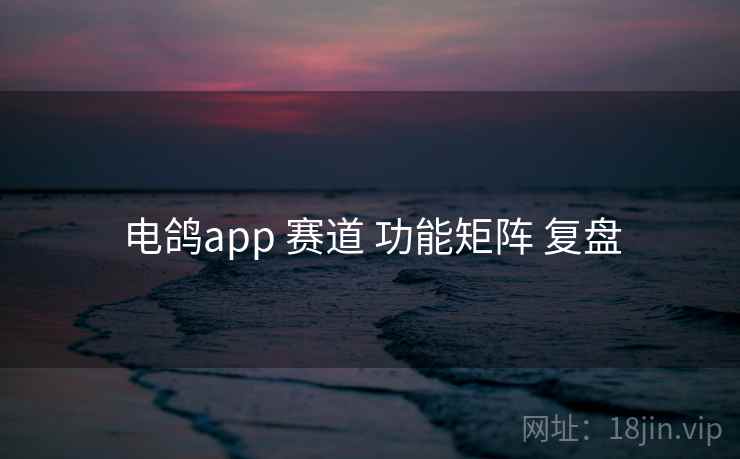 电鸽app 赛道 功能矩阵 复盘 电鸽app 赛道 功能矩阵 复盘