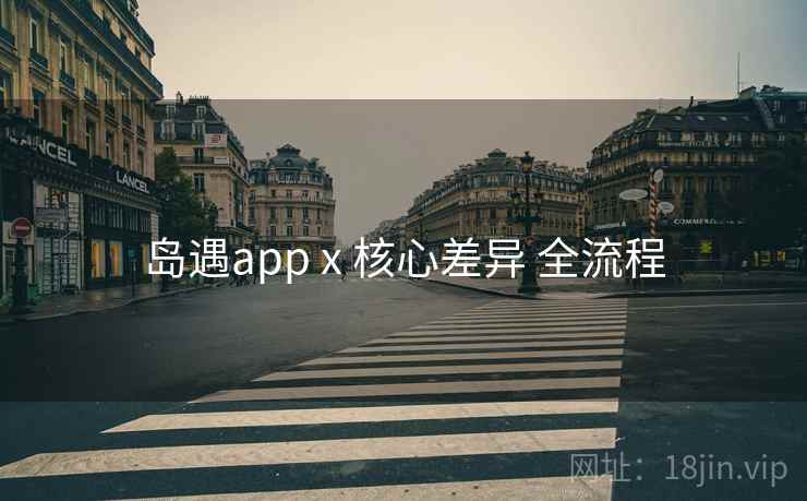 岛遇app x 核心差异 全流程 岛遇app x 核心差异 全流程